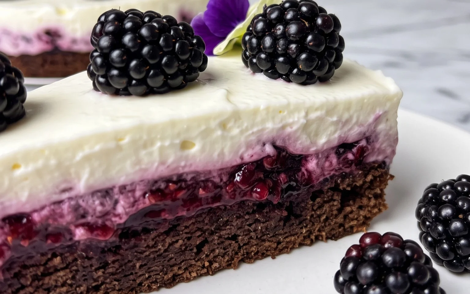 Brombeer-Torte - mit Joghurt-Creme und Fruchtfüllung